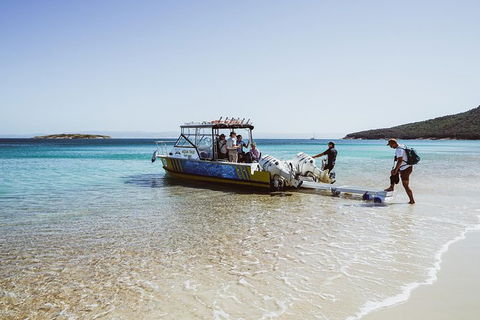 Sea & Explore Wineglass Bay & Freycinet National Park - Cruise & Walk - Attractions Sydney 3