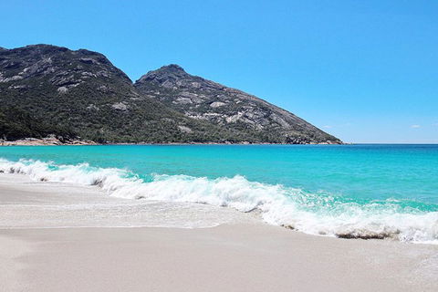Sea & Explore Wineglass Bay & Freycinet National Park - Cruise & Walk - Attractions Sydney 4
