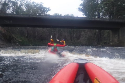 Twin Rivers Winter Adventure - Attractions Sydney 4