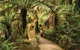 Dandenong Ranges Private Tour Including William Ricketts Sanctuary - thumb 3