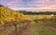Yarra Valley Boutique Winery Tour From Melbourne - thumb 0