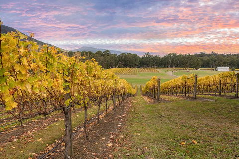 Yarra Valley Boutique Winery Tour From Melbourne - Attractions Sydney 0