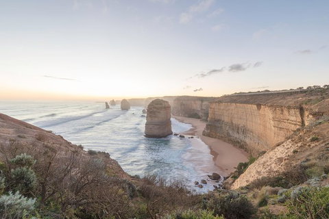 PRIVATE Great Ocean Road Tour And 12 Apostles With Wildlife Spotting - Attractions Sydney 0