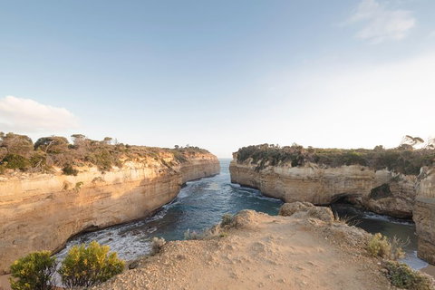 PRIVATE Great Ocean Road Tour And 12 Apostles With Wildlife Spotting - Attractions Sydney 1
