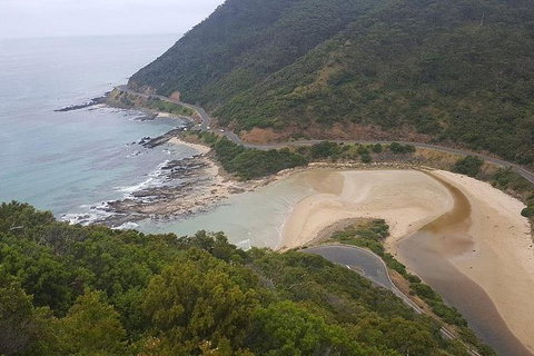 The Great Ocean Road 1 Day Private Sunset Tour - Attractions Sydney 5