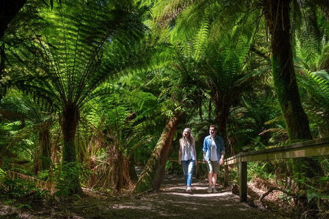 The Great Ocean Road 1 Day Private Sunset Tour - Attractions Sydney 1