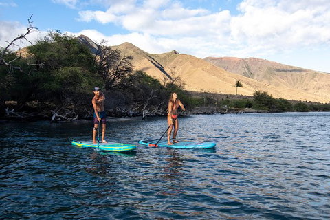 Stand Up Paddle Boarding Hire - Attractions Sydney 2
