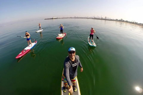 Stand Up Paddle Boarding Hire - Attractions Sydney 1