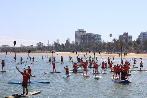 Stand Up Paddle Boarding Hire - Attractions Sydney 5