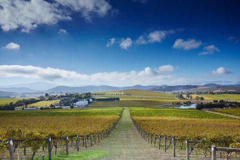Yarra Valley Wine And Wildlife Self-Driving Tour - Attractions Sydney 4
