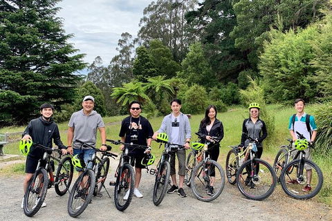Aqueduct And Rail Trail Self-Guided Bike Tour In Warburton - Attractions Sydney 0