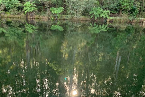 Hiking Tour To Aqueduct And Warburton Valley Lookout - Attractions Sydney 2