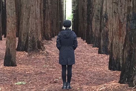 Private Aqueduct To California Redwoods Hiking Tour - Attractions Sydney 1