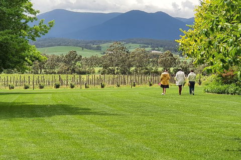 Yarra Valley Wine Tasting Day Tour From Melbourne - Attractions Sydney 6