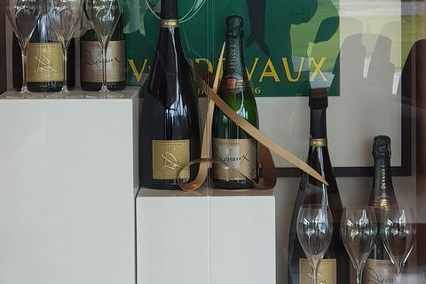 Yarra Valley Wine Tasting Day Tour From Melbourne - Attractions Sydney 2