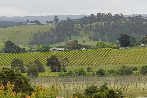 Yarra Valley Wine Tasting Day Tour From Melbourne - Attractions Sydney 0