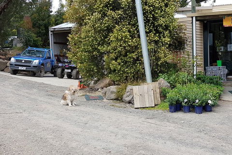 Yarra Valley Wineries And Rayners Orchard Tour From Melbourne - Attractions Sydney 8
