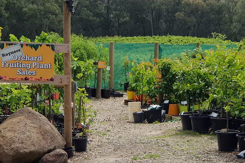 Yarra Valley Wineries And Rayners Orchard Tour From Melbourne - Attractions Sydney 0