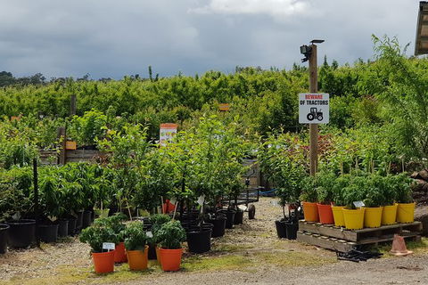 Yarra Valley Wineries And Rayners Orchard Tour From Melbourne - Attractions Sydney 22