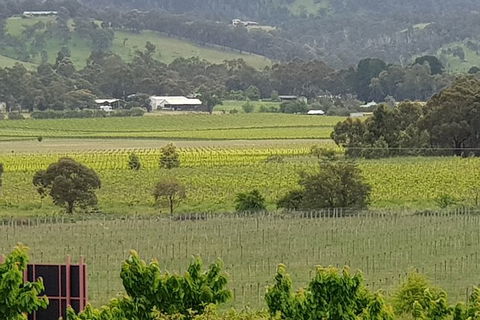 Yarra Valley Wineries And Rayners Orchard Tour From Melbourne - Attractions Sydney 2