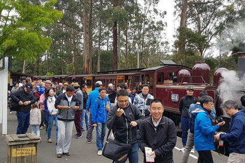 Day Tour Of Yarra Valley Puffing Billy And Rayners Orchard - Attractions Sydney 3