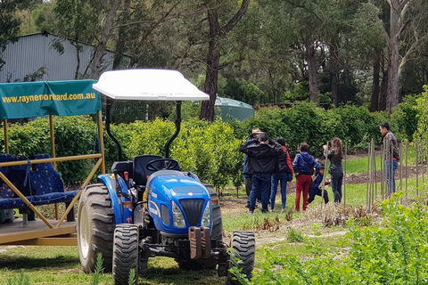 Day Tour Of Yarra Valley Puffing Billy And Rayners Orchard - Attractions Sydney 10