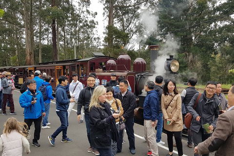 Day Tour Of Yarra Valley Puffing Billy And Rayners Orchard - Attractions Sydney 18