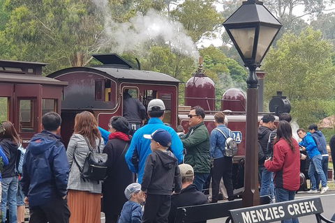 Day Tour Of Yarra Valley Puffing Billy And Rayners Orchard - Attractions Sydney 40