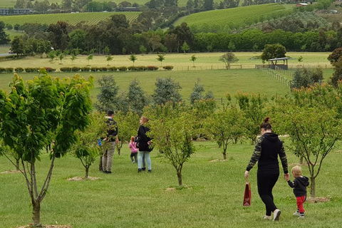 Day Tour Of Yarra Valley Puffing Billy And Rayners Orchard - Attractions Sydney 36