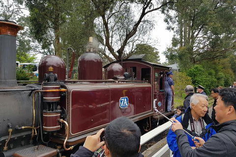 Day Tour Of Yarra Valley Puffing Billy And Rayners Orchard - Attractions Sydney 28