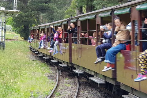Day Tour Of Yarra Valley Puffing Billy And Rayners Orchard - Attractions Sydney 13