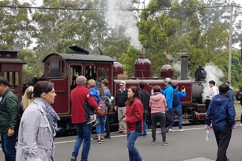 Day Tour Of Yarra Valley Puffing Billy And Rayners Orchard - Attractions Sydney 4