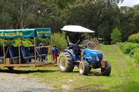 Day Tour Of Yarra Valley Puffing Billy And Rayners Orchard - Attractions Sydney 25
