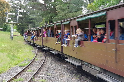 Day Tour Of Yarra Valley Puffing Billy And Rayners Orchard - Attractions Sydney 24