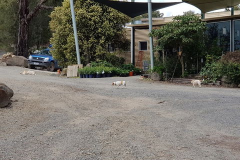 Day Tour Of Yarra Valley Puffing Billy And Rayners Orchard - Attractions Sydney 26