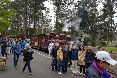 Day Tour Of Yarra Valley Puffing Billy And Rayners Orchard - Attractions Sydney 9