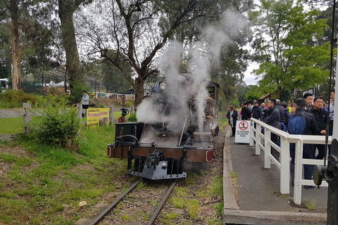 Day Tour Of Yarra Valley Puffing Billy And Rayners Orchard - Attractions Sydney 43