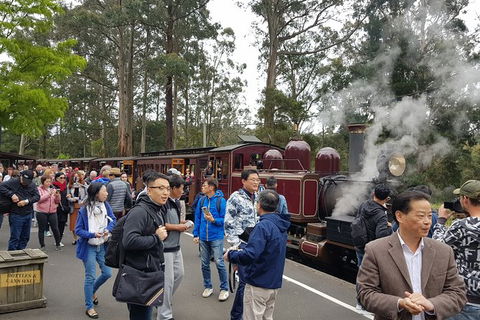Day Tour Of Yarra Valley Puffing Billy And Rayners Orchard - Attractions Sydney 12