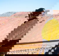 Purnululu Scenic with Argyle Diamond Mine Ground Tour - Attractions Sydney