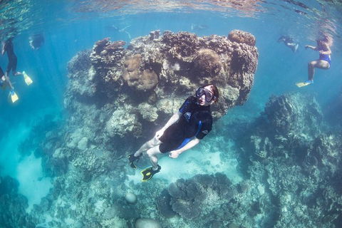 Coral Bay 2-Hour Coral Viewing And Snorkeling - Attractions Sydney 3