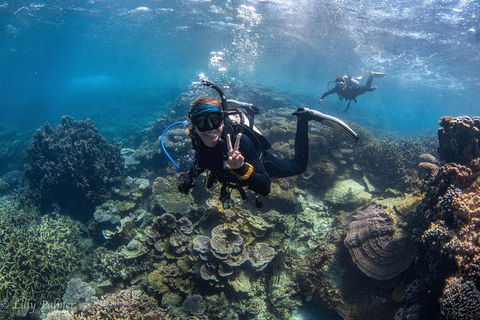 Ningaloo Adventure And Manta Ray Tour - Attractions Sydney 0