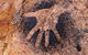 Wandjina Explorer - Incredible Kimberley Coast Tour - thumb 8