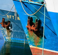 Photography Tour of Historical Fremantle and Street Art. - Attractions Sydney