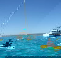 5 Night Ningaloo Reef Ningaloo Escape from Coral Bay - Attractions Sydney