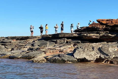 Scenic And Prehistoric Boat Tour - Attractions Sydney 18