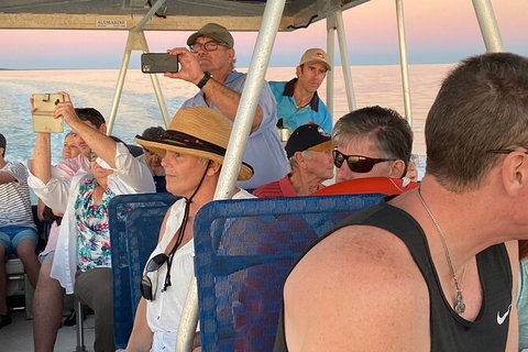 Scenic And Prehistoric Boat Tour - Attractions Sydney 20