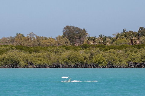 Scenic And Prehistoric Boat Tour - Attractions Sydney 3