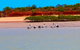 Scenic And Prehistoric Boat Tour - thumb 26