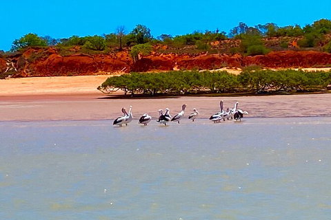 Scenic And Prehistoric Boat Tour - Attractions Sydney 26