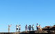 Scenic And Prehistoric Boat Tour - thumb 4